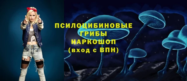СК Абдулино