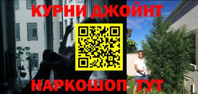 индика Волжский