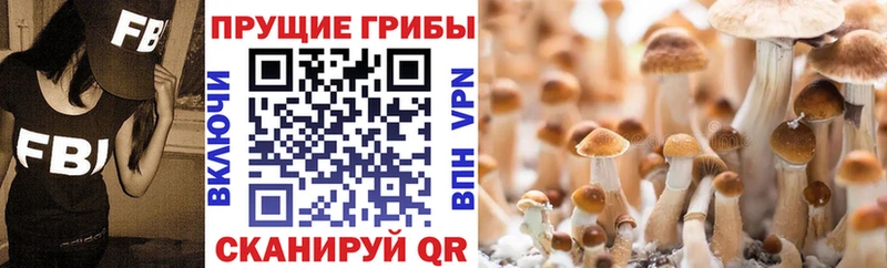 Галлюциногенные грибы MAGIC MUSHROOMS Нягань